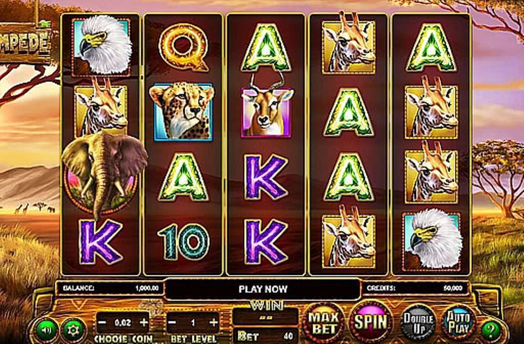 simboli Stampede slot machine